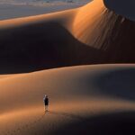Venus Goes Retrograde – 40 Days In the Desert